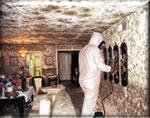mould